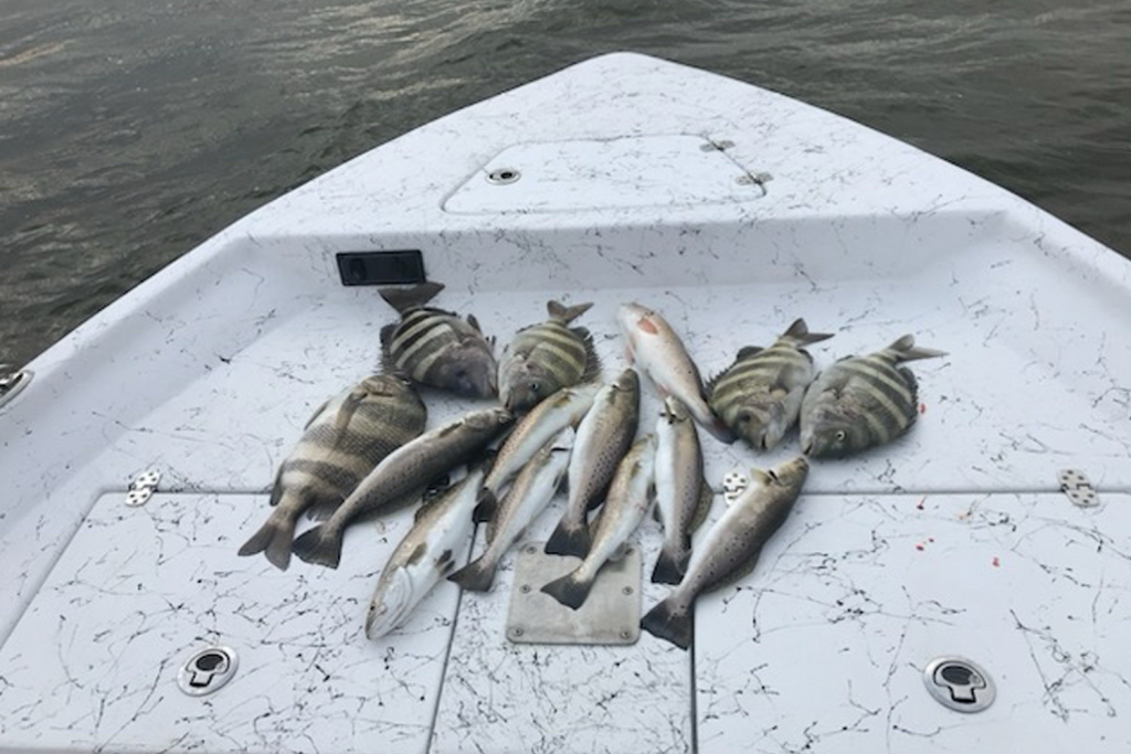 American Gulf Guide Service gallery image 4