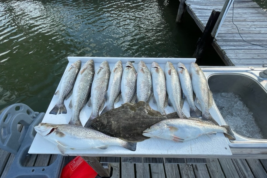 American Gulf Guide Service gallery image 1